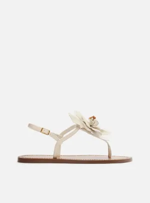 Daisy Flat Sandal