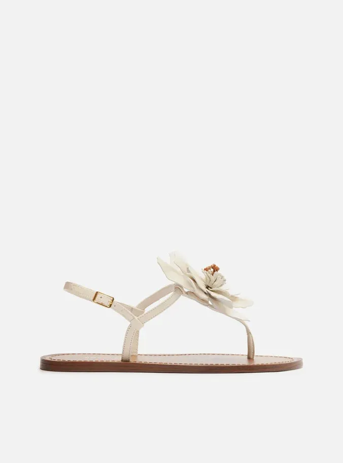 Daisy Flat Sandal