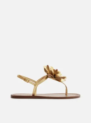 Daisy Flat Sandal