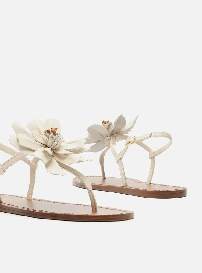 Daisy Flat Sandal