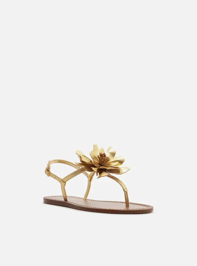 Daisy Flat Sandal