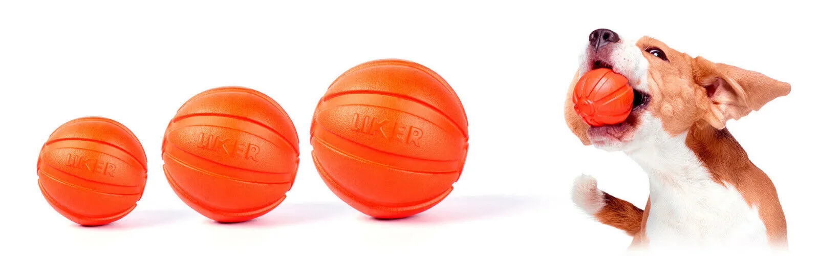 Dog Liker Collar ball for Training and Fitness (Magnet)