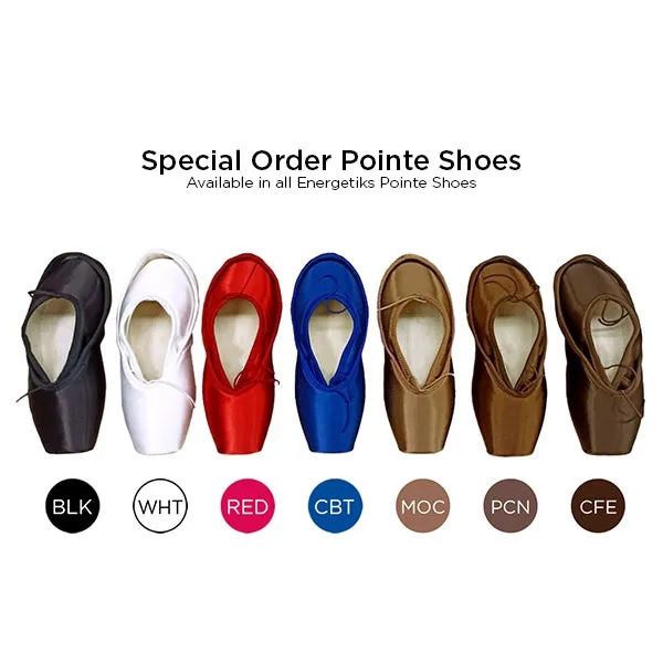 ENERGETIKS EMILIA POINTE SHOE (Flexi Soft)