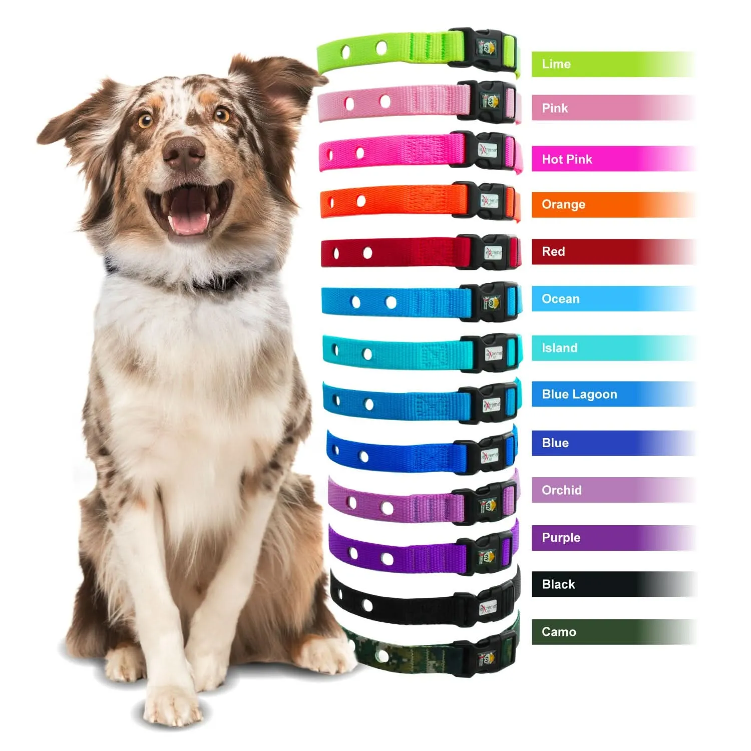 eXtreme Dog Fence Collar Strap for in ground fence receivers - Ocean