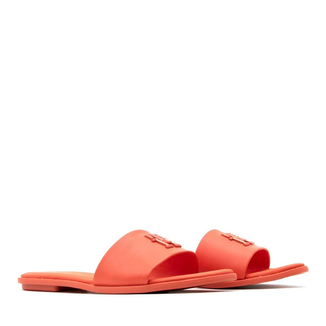 H Pop Mule