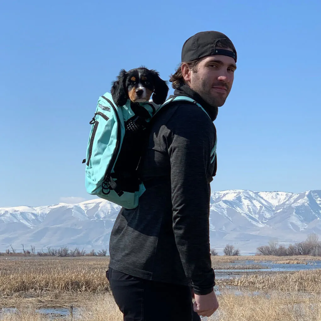 K9 Sport Sack PLUS 2 Dog Carrier Backpack