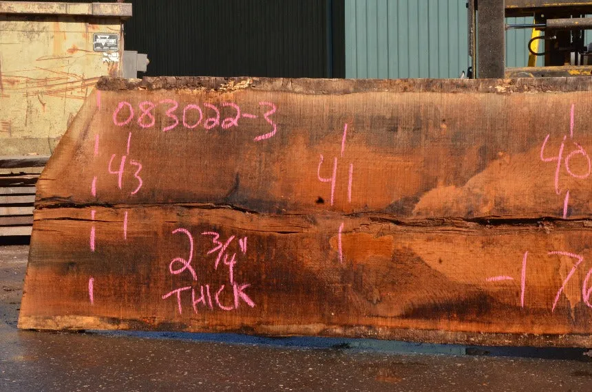 Oregon White Oak Slab 083022-03