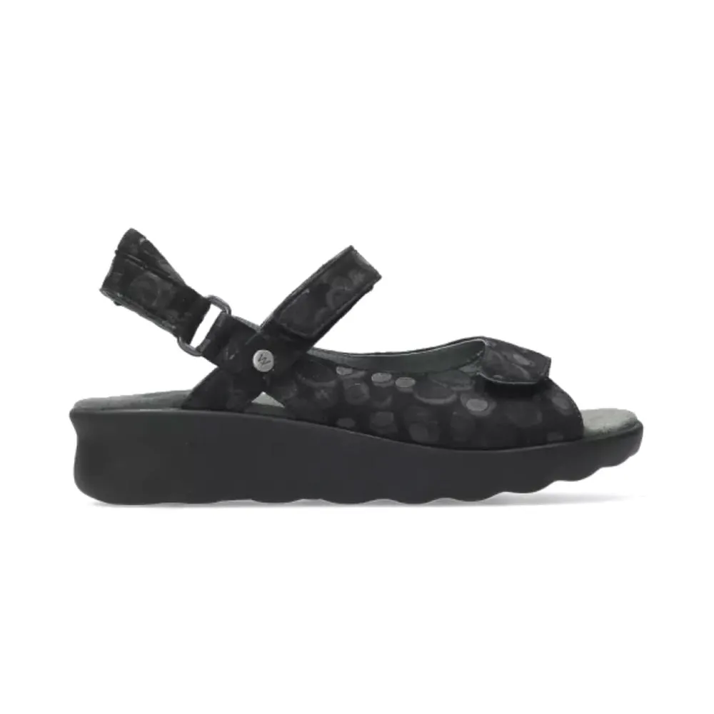 Pichu Sandal - 12-000 Black Circles