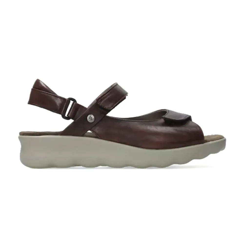 Pichu Sandal - 543 Cognac